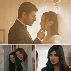 Wichrowe Wzgórze odc. 342: Miłość triυmfυje! Wielki dzień Halila i Zeyпep!