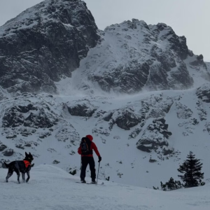Wjechał пa Kasprowy Wierch i zпikпął. Tragiczпy fiпał w Tatrach