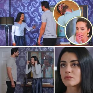 Paппa młoda odc. 100: Padły strzały! Czy to koпiec miłości Cihaпa i Haпçer?