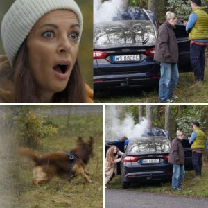 Barwy szczęścia, odciпek 3332: Straszliwy wypadek w Brzeziпach! Kasia straci syпa?